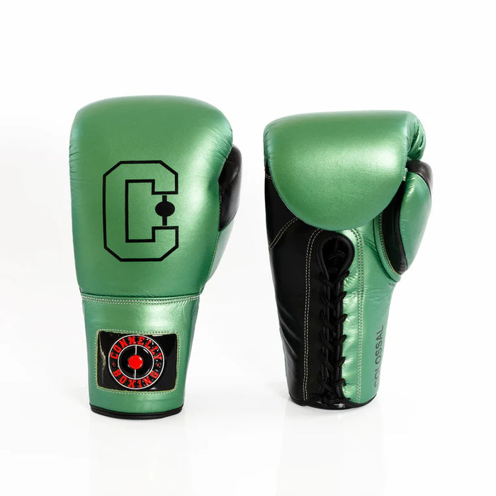 How to Choose the Right Boxing Gloves for Your Training Needs